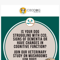 CBD Dog Health email thumbnail