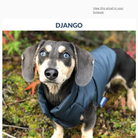 DJANGO email thumbnail