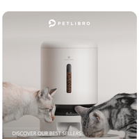 Petlibro email thumbnail