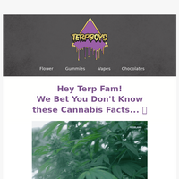 TerpBoys LLC email thumbnail