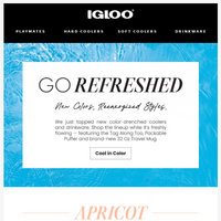 Igloo Coolers email thumbnail