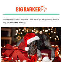 Big Barker email thumbnail