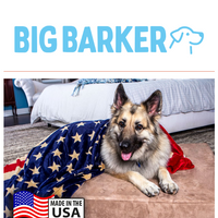 Big Barker email thumbnail