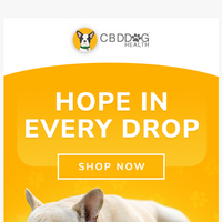 CBD Dog Health email thumbnail