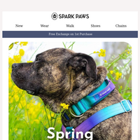 Spark Paws email thumbnail