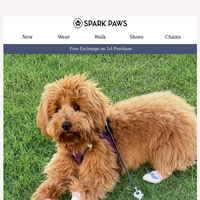 Spark Paws email thumbnail