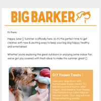 Big Barker email thumbnail