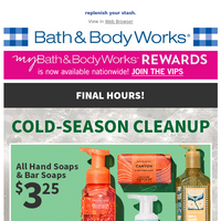 Bath and Body Works email thumbnail