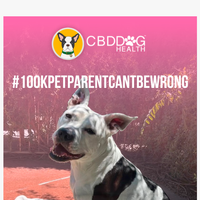 CBD Dog Health email thumbnail