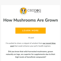 CBD Dog Health email thumbnail