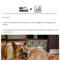 Big Barker email thumbnail