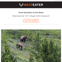 MeatEater email thumbnail