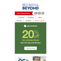 Bed Bath and Beyond email thumbnail