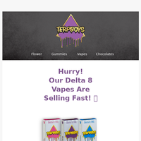 TerpBoys LLC email thumbnail