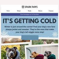 Spark Paws email thumbnail