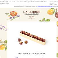 L.A. Burdick Chocolate email thumbnail