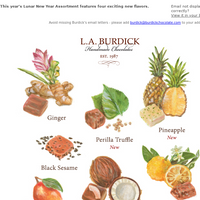 L.A. Burdick Chocolate email thumbnail