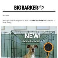 Big Barker email thumbnail