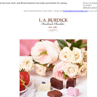 L.A. Burdick Chocolate email thumbnail