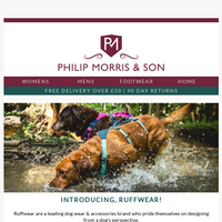 Philip Morris & Son email thumbnail