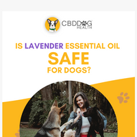 CBD Dog Health email thumbnail