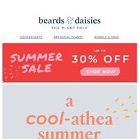 Beards & Daisies email thumbnail