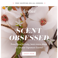 Drybar email thumbnail