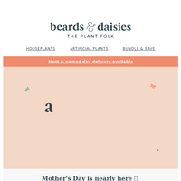 Beards & Daisies email thumbnail