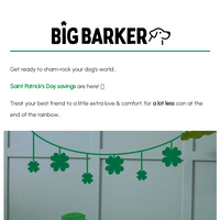 Big Barker email thumbnail