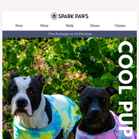 Spark Paws email thumbnail