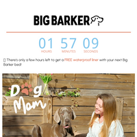 Big Barker email thumbnail