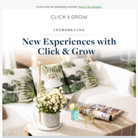 Click & Grow email thumbnail