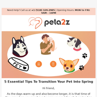 Peta2z email thumbnail