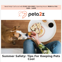 Peta2z email thumbnail