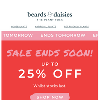 Beards & Daisies email thumbnail