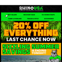 Rhino USA email thumbnail