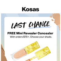 Kosas email thumbnail