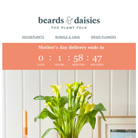 Beards & Daisies email thumbnail