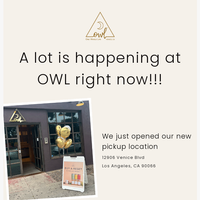 OWL Venice email thumbnail