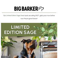 Big Barker email thumbnail