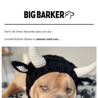 Big Barker email thumbnail