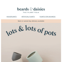 Beards & Daisies email thumbnail