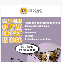 CBD Dog Health email thumbnail