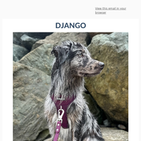 DJANGO email thumbnail