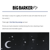 Big Barker email thumbnail