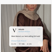 Veiled Collection email thumbnail