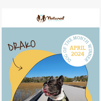 Natural Dog Company  email thumbnail