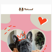 Natural Dog Company  email thumbnail