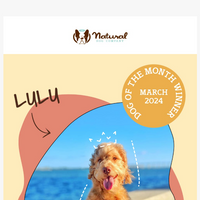 Natural Dog Company  email thumbnail