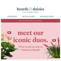 Beards & Daisies email thumbnail